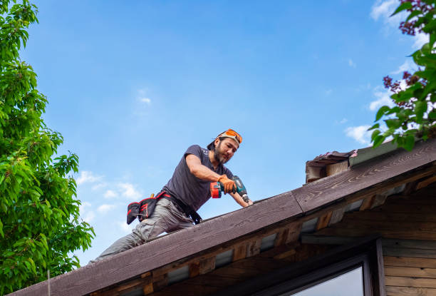 Best Metal Roofing Installation  in Dresden, OH