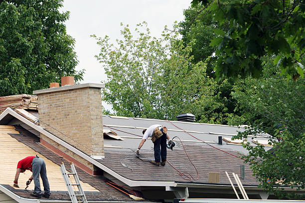 Best Chimney Flashing Repair  in Dresden, OH